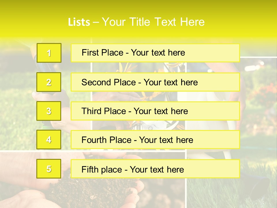 Land Flower Aster PowerPoint Template