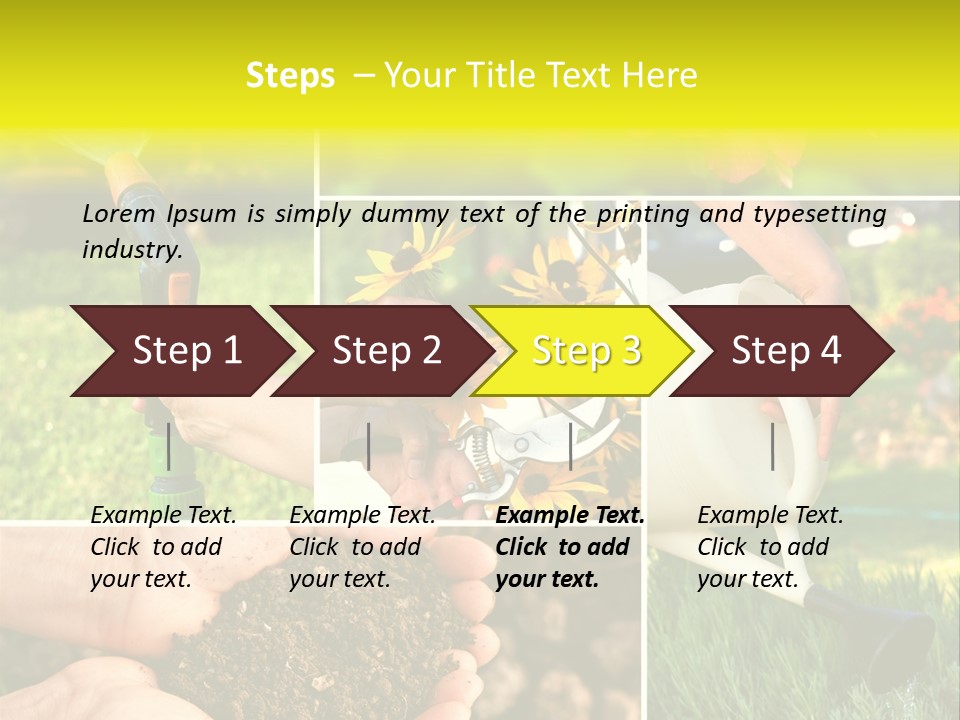Land Flower Aster PowerPoint Template