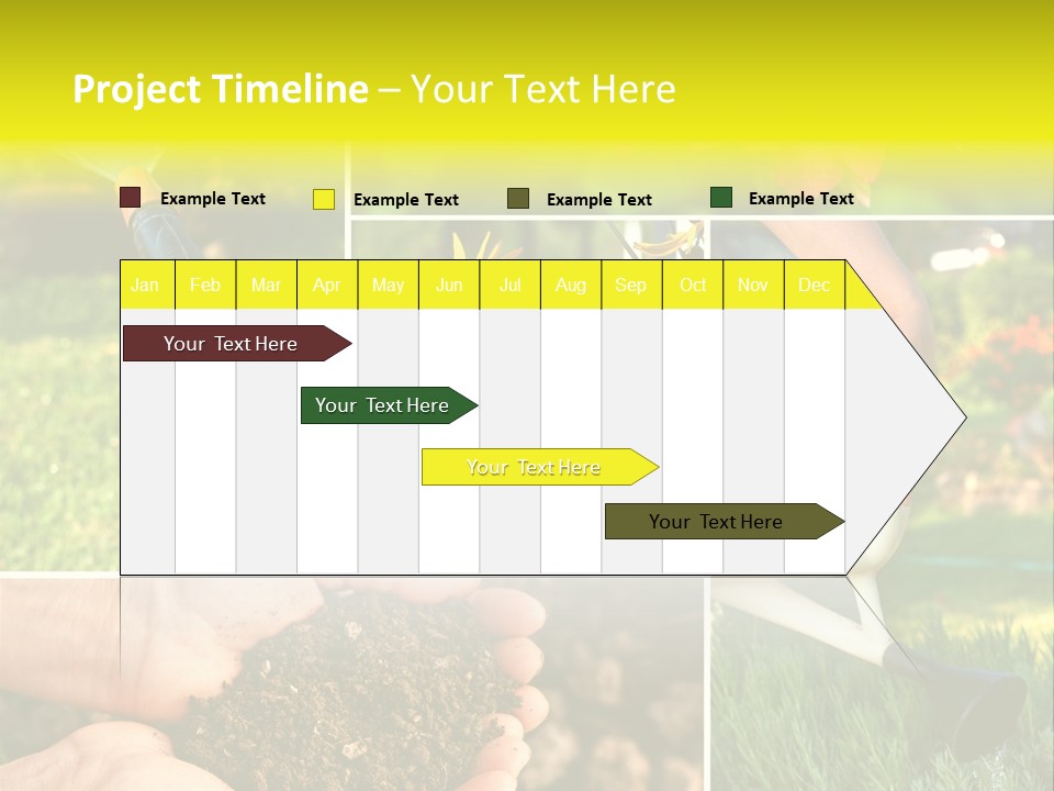 Land Flower Aster PowerPoint Template