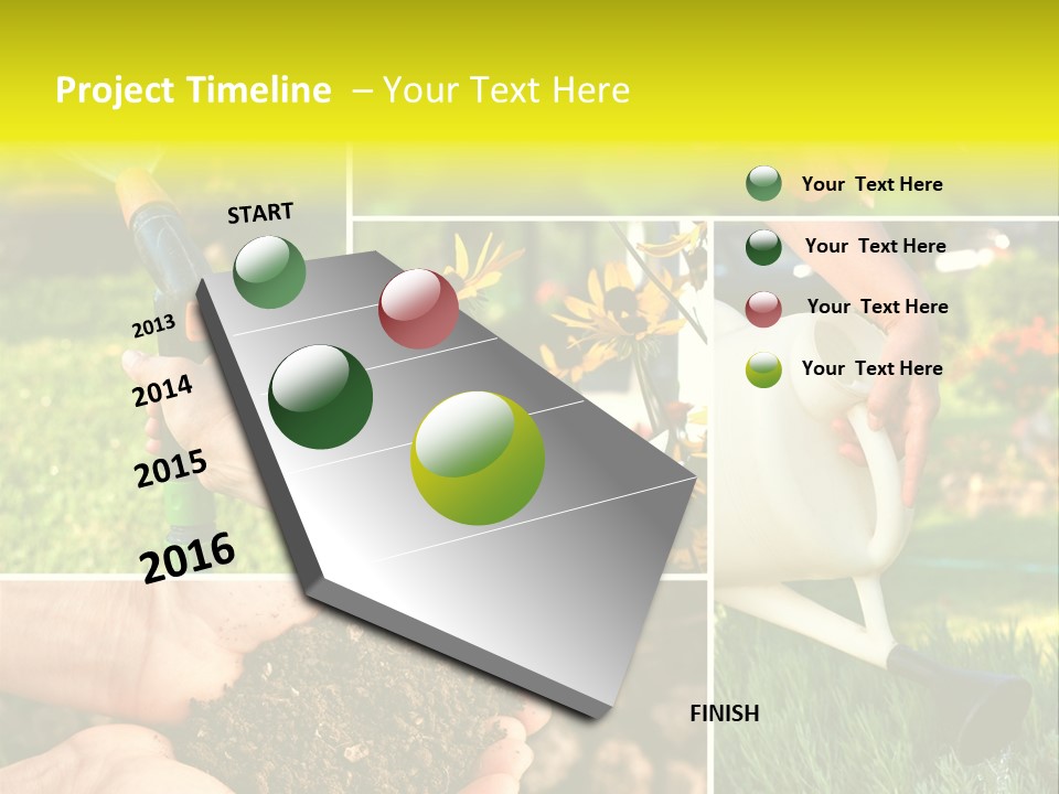 Land Flower Aster PowerPoint Template