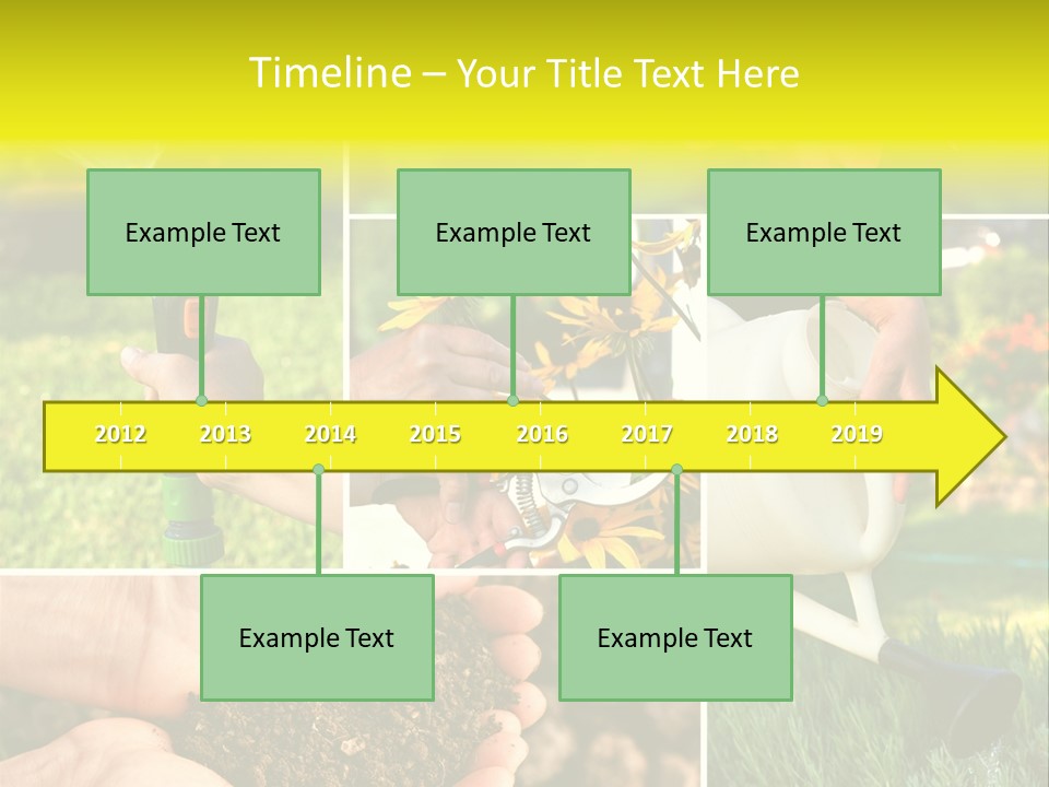 Land Flower Aster PowerPoint Template