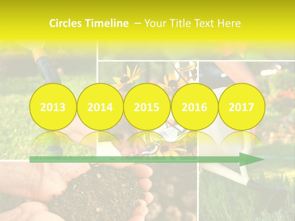 Land Flower Aster PowerPoint Template