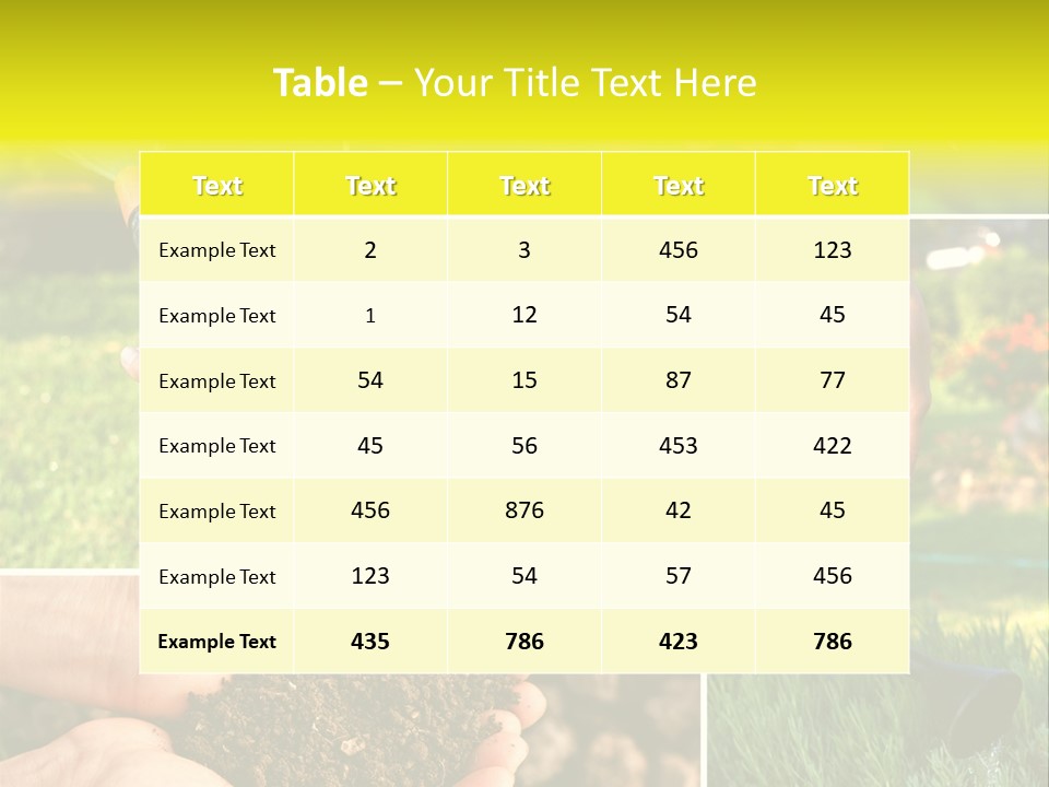 Land Flower Aster PowerPoint Template