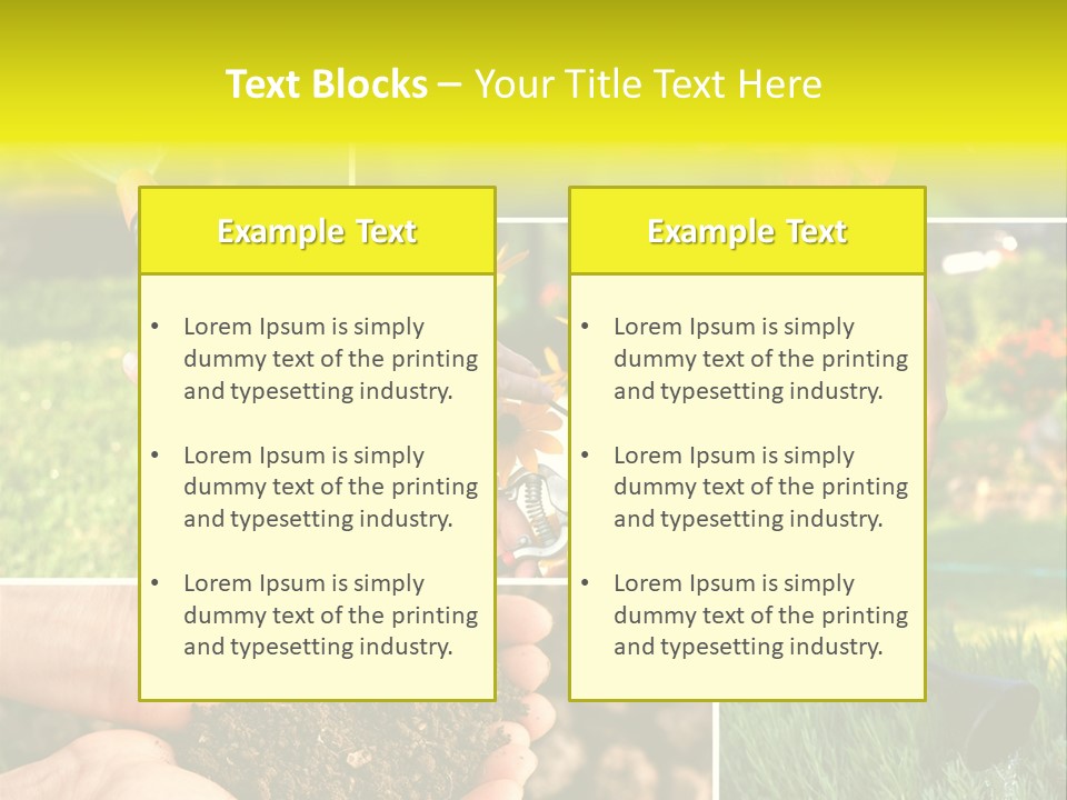 Land Flower Aster PowerPoint Template