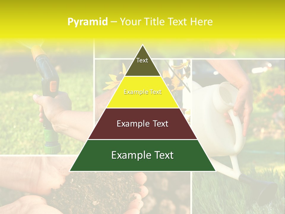Land Flower Aster PowerPoint Template