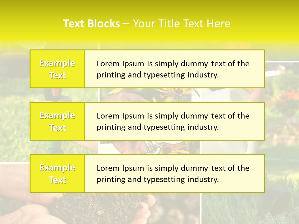 Land Flower Aster PowerPoint Template
