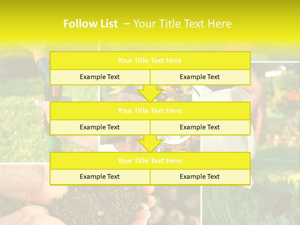 Land Flower Aster PowerPoint Template