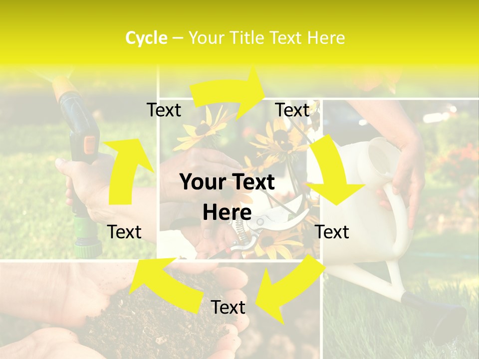 Land Flower Aster PowerPoint Template