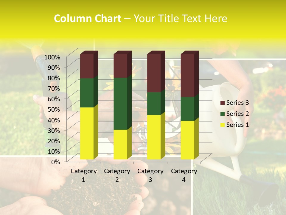 Land Flower Aster PowerPoint Template