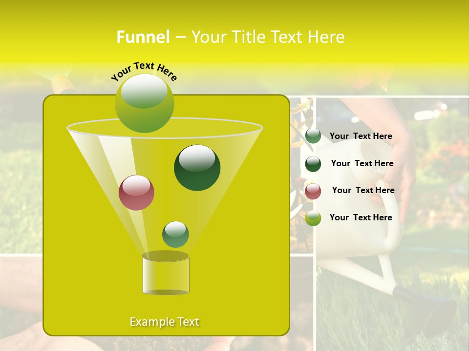 Land Flower Aster PowerPoint Template