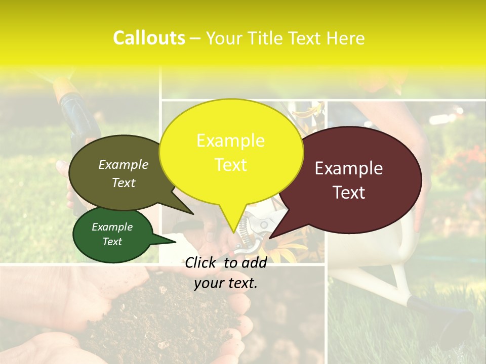 Land Flower Aster PowerPoint Template