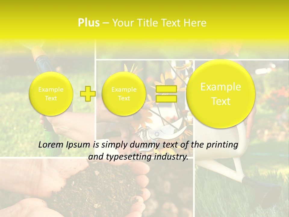 Land Flower Aster PowerPoint Template