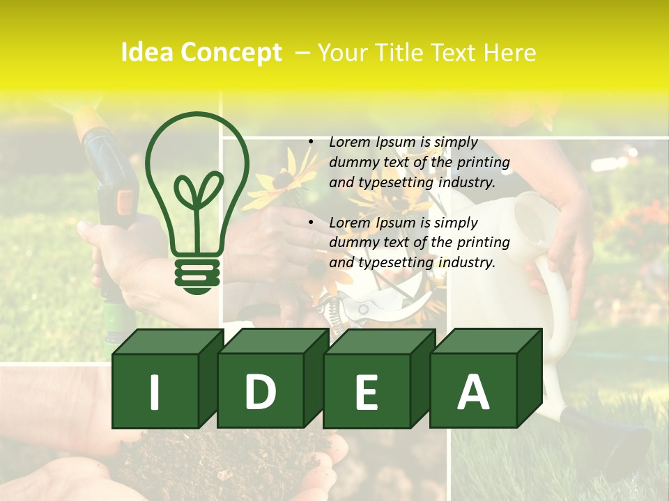 Land Flower Aster PowerPoint Template