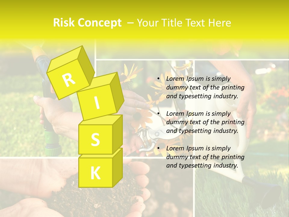 Land Flower Aster PowerPoint Template