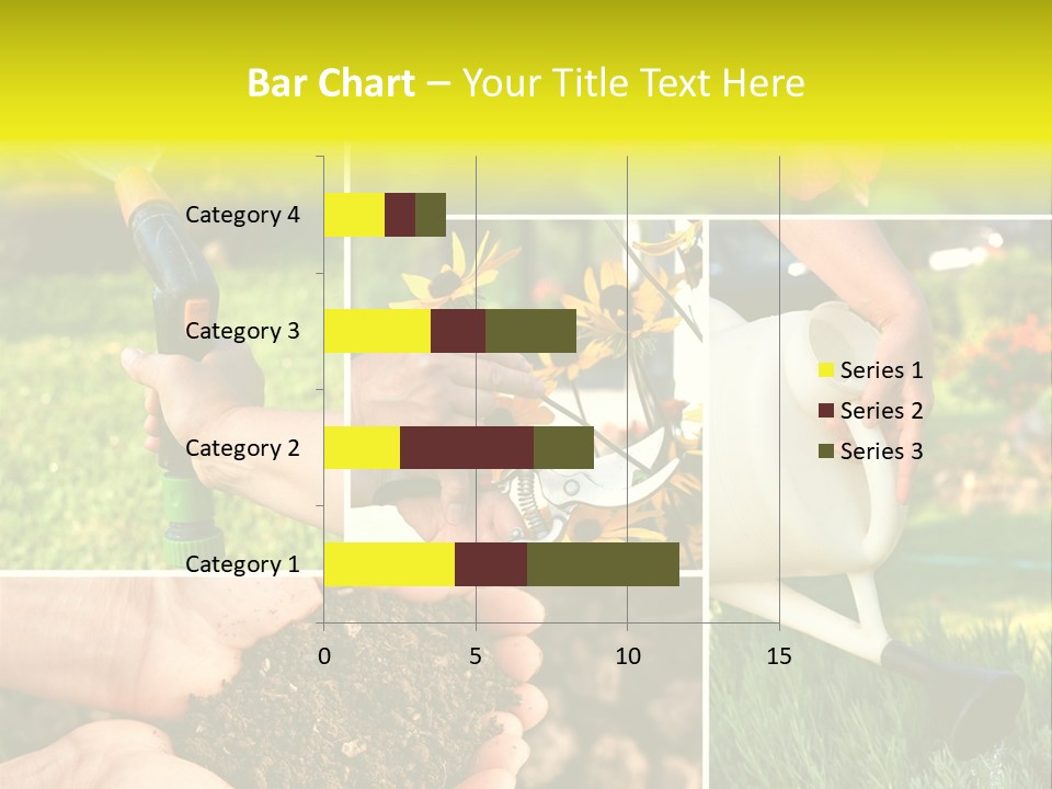 Land Flower Aster PowerPoint Template