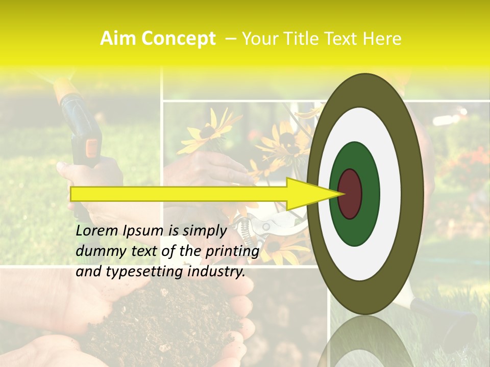 Land Flower Aster PowerPoint Template