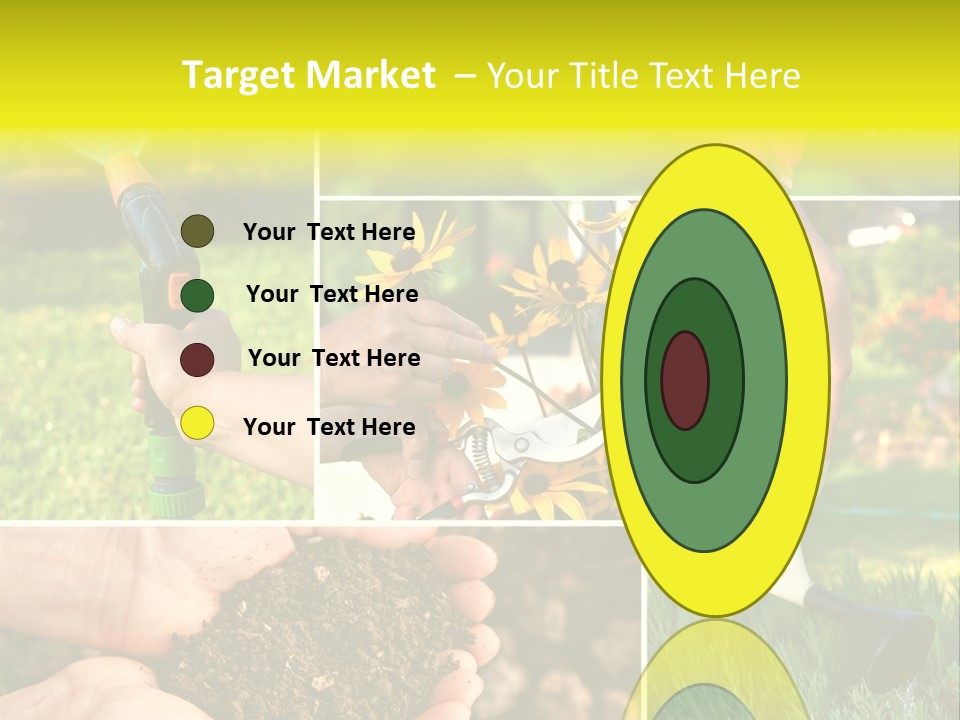 Land Flower Aster PowerPoint Template