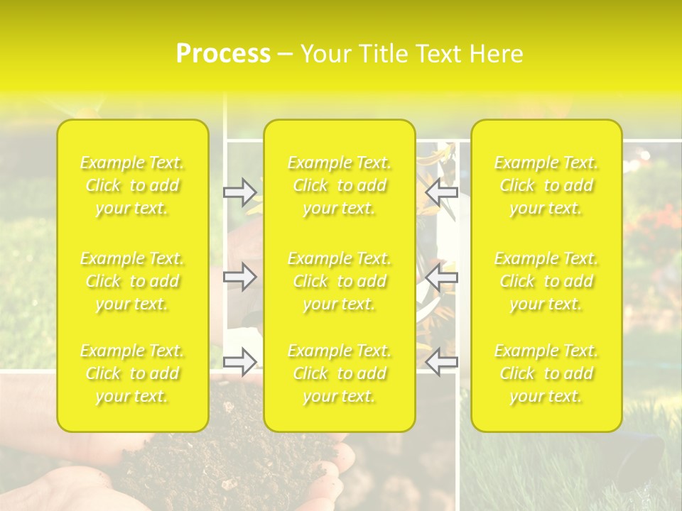 Land Flower Aster PowerPoint Template