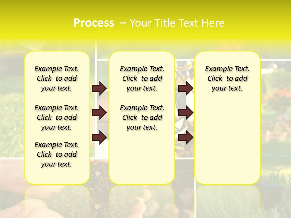 Land Flower Aster PowerPoint Template