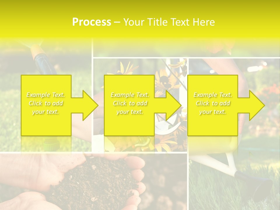 Land Flower Aster PowerPoint Template