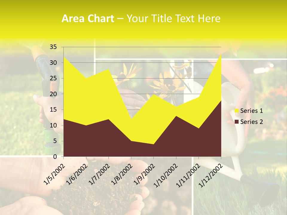 Land Flower Aster PowerPoint Template