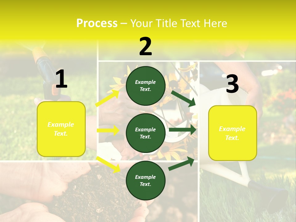 Land Flower Aster PowerPoint Template