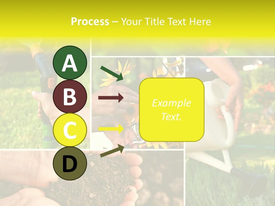 Land Flower Aster PowerPoint Template
