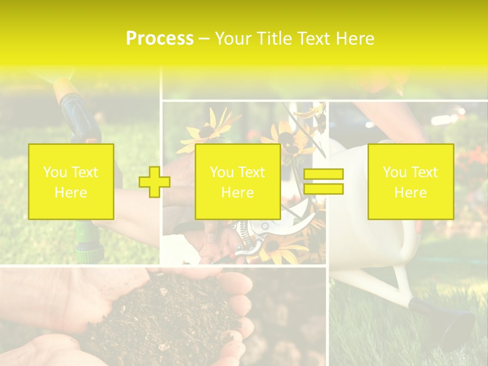 Land Flower Aster PowerPoint Template