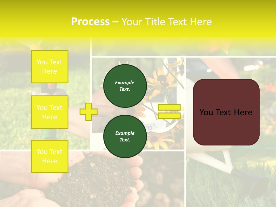 Land Flower Aster PowerPoint Template