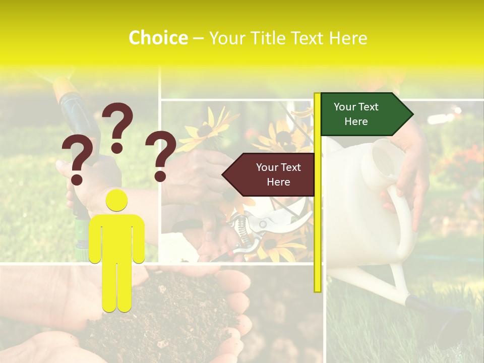 Land Flower Aster PowerPoint Template