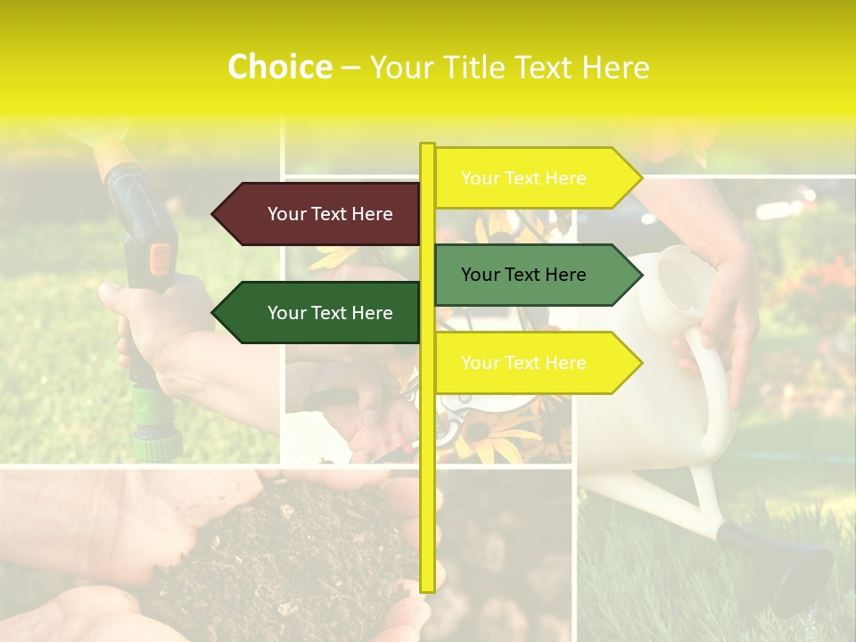 Land Flower Aster PowerPoint Template