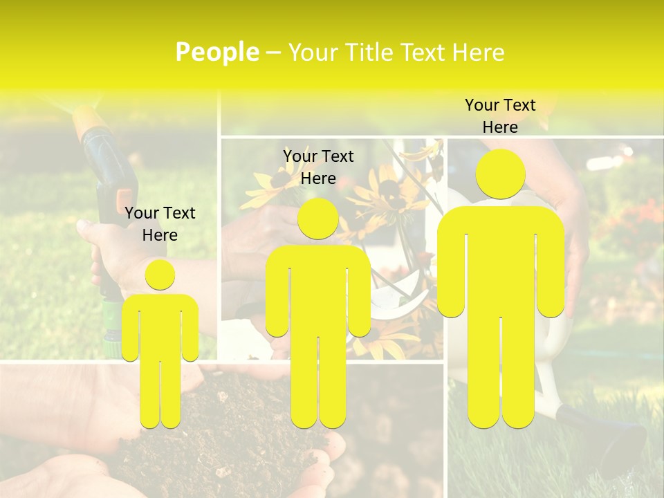 Land Flower Aster PowerPoint Template