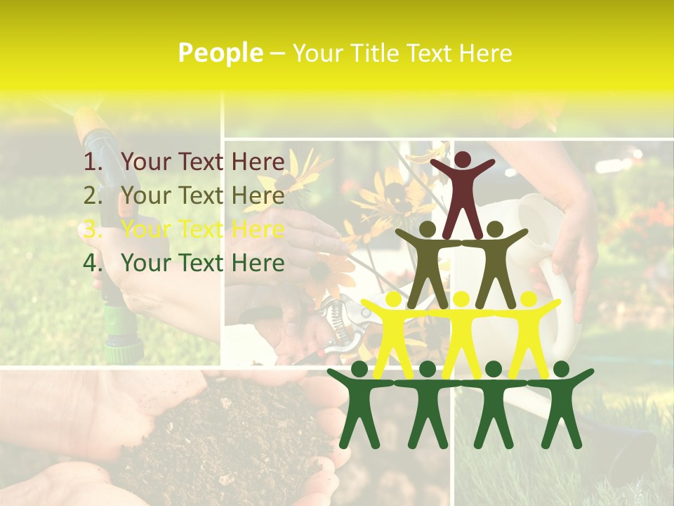 Land Flower Aster PowerPoint Template