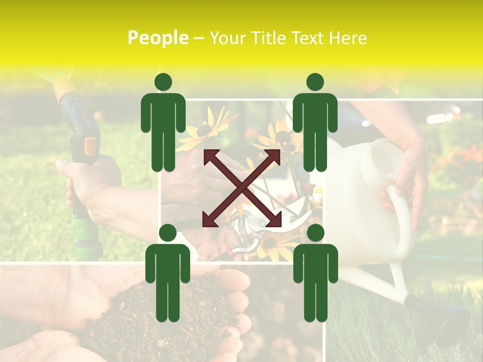 Land Flower Aster PowerPoint Template