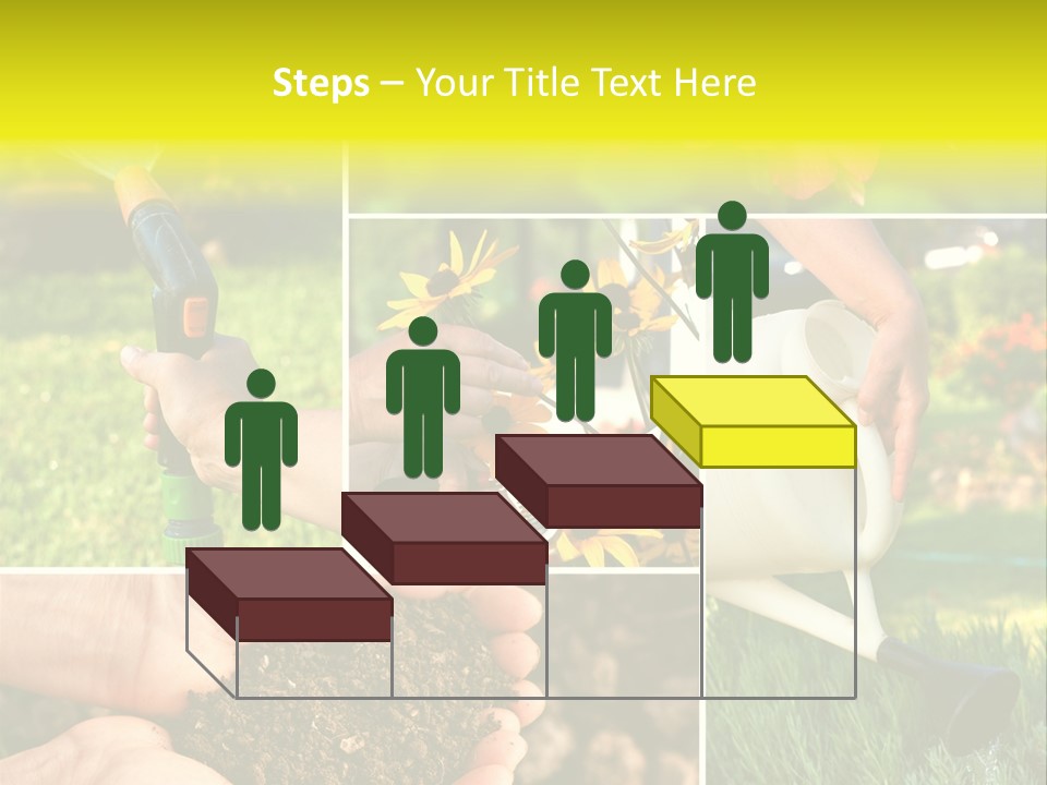 Land Flower Aster PowerPoint Template