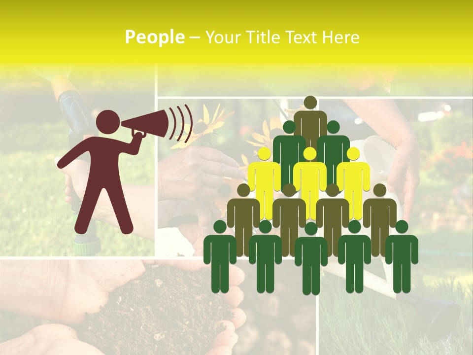 Land Flower Aster PowerPoint Template