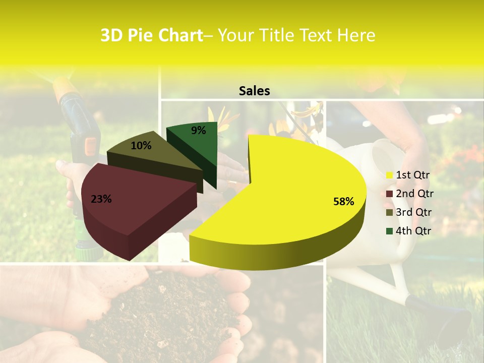 Land Flower Aster PowerPoint Template