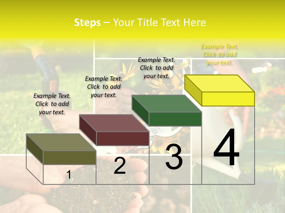 Land Flower Aster PowerPoint Template