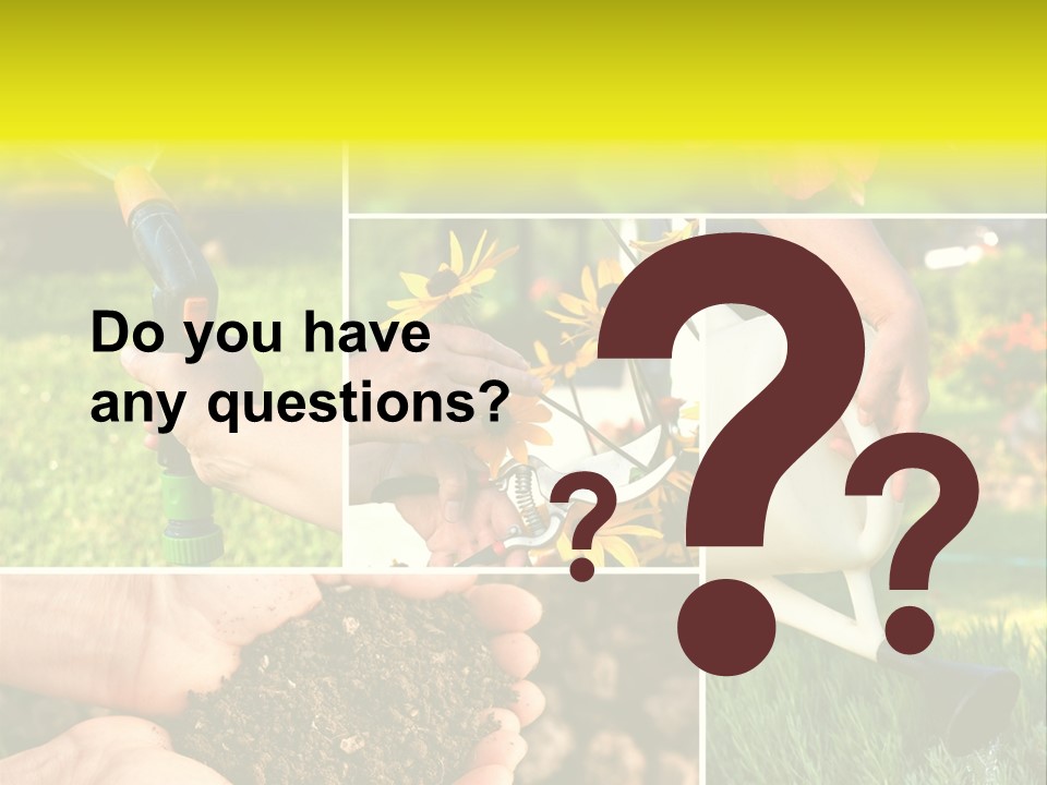 Land Flower Aster PowerPoint Template