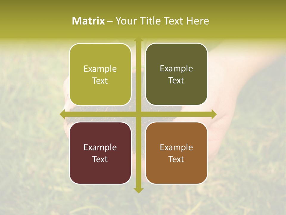 Seed Herb Organic PowerPoint Template