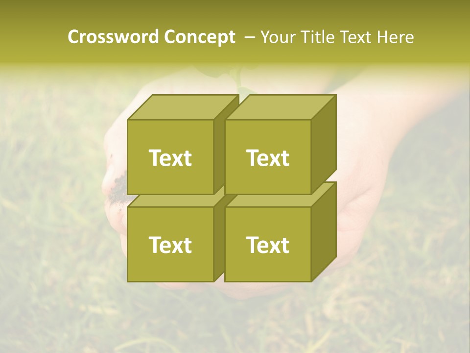 Seed Herb Organic PowerPoint Template