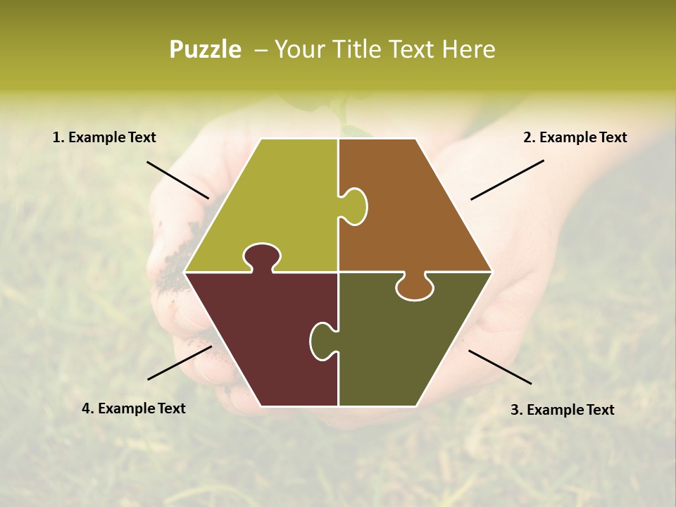 Seed Herb Organic PowerPoint Template