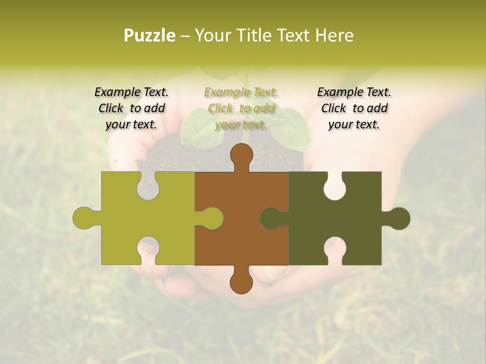 Seed Herb Organic PowerPoint Template