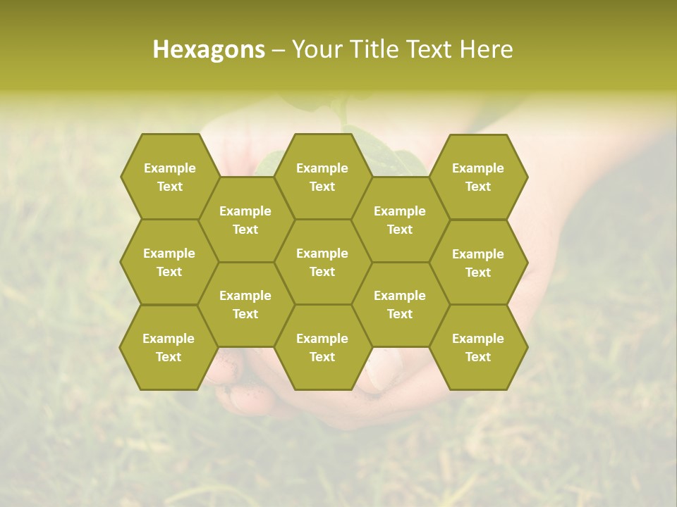 Seed Herb Organic PowerPoint Template