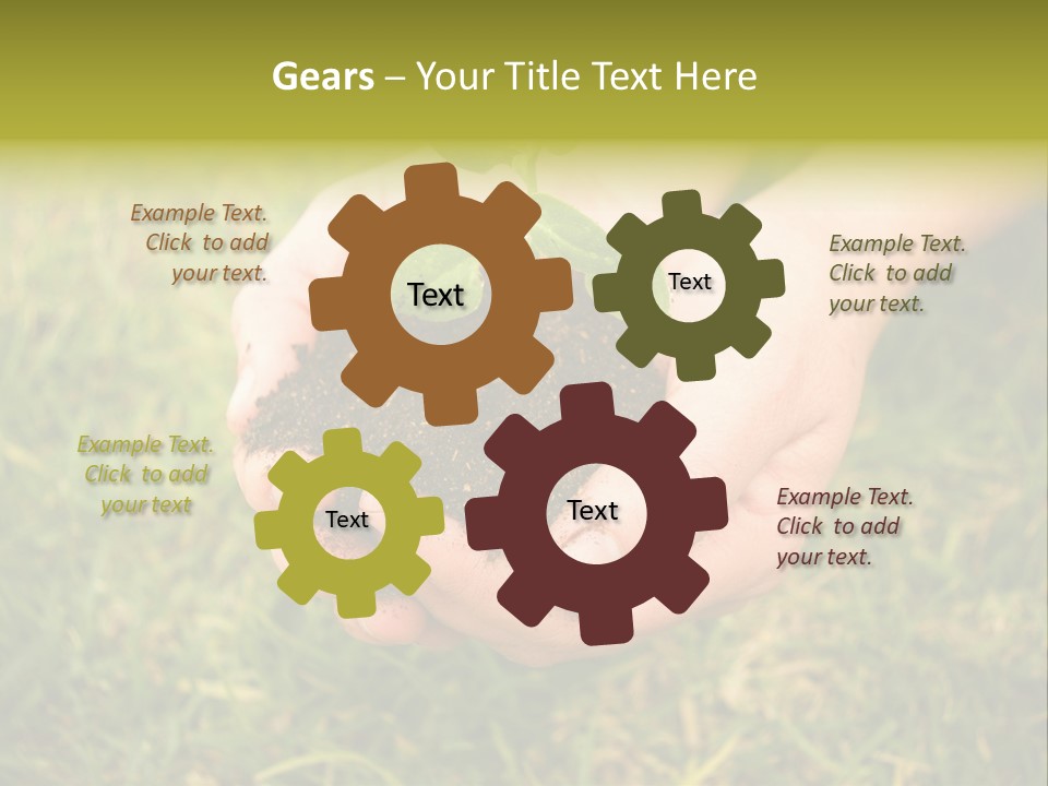 Seed Herb Organic PowerPoint Template