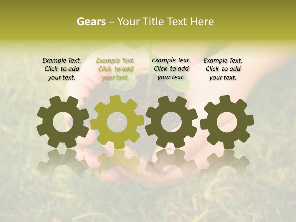 Seed Herb Organic PowerPoint Template