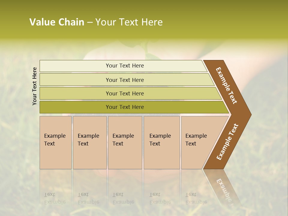 Seed Herb Organic PowerPoint Template