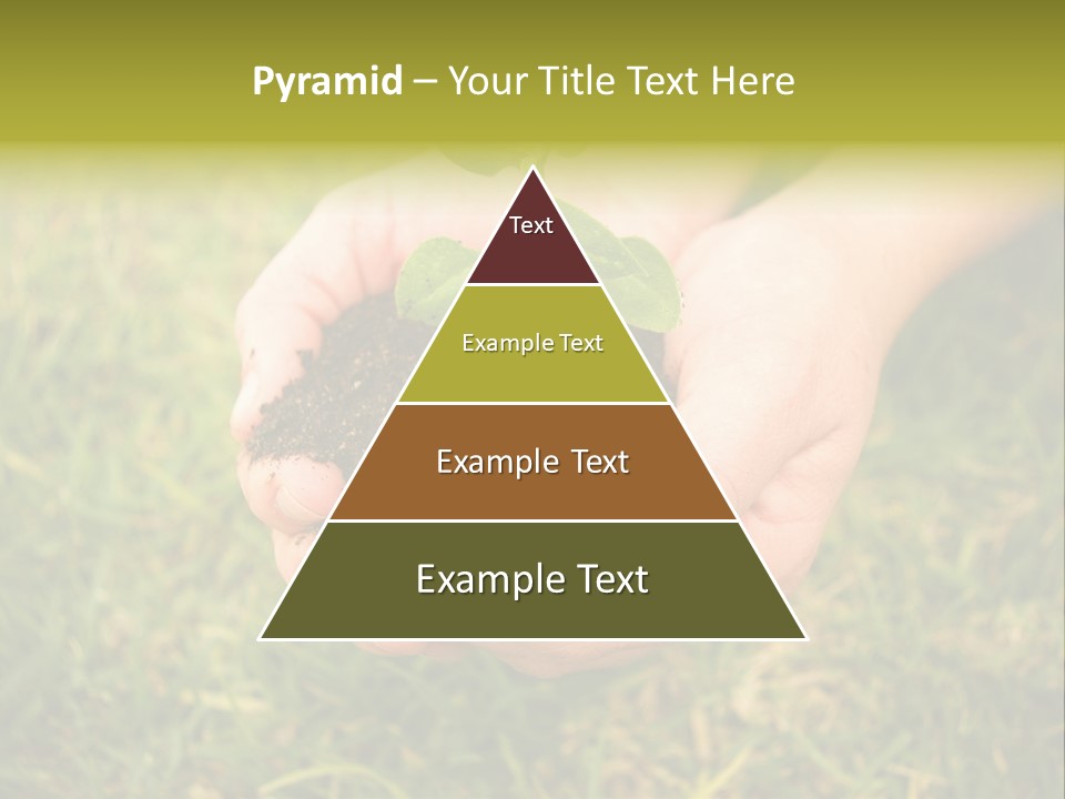 Seed Herb Organic PowerPoint Template