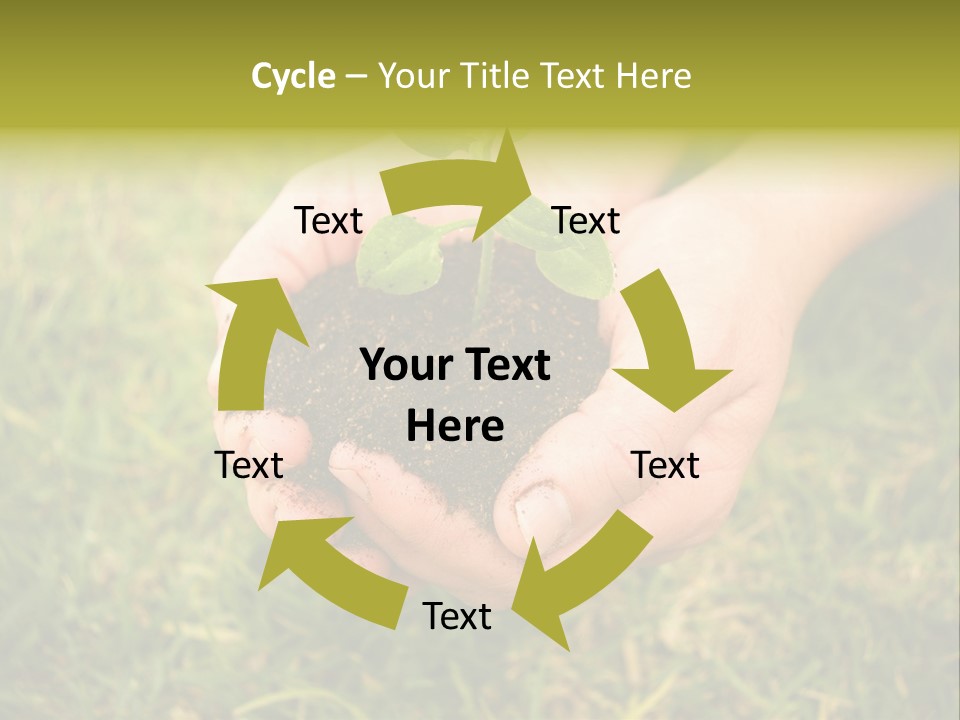 Seed Herb Organic PowerPoint Template