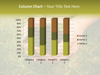 Seed Herb Organic PowerPoint Template